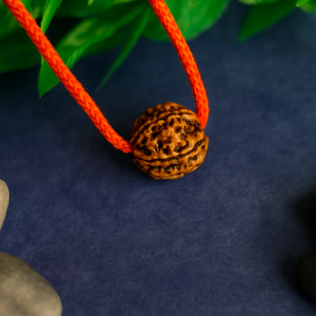 Har Ghar Mein Rudraksha - Claim Your Free 5 Mukhi Rudraksha