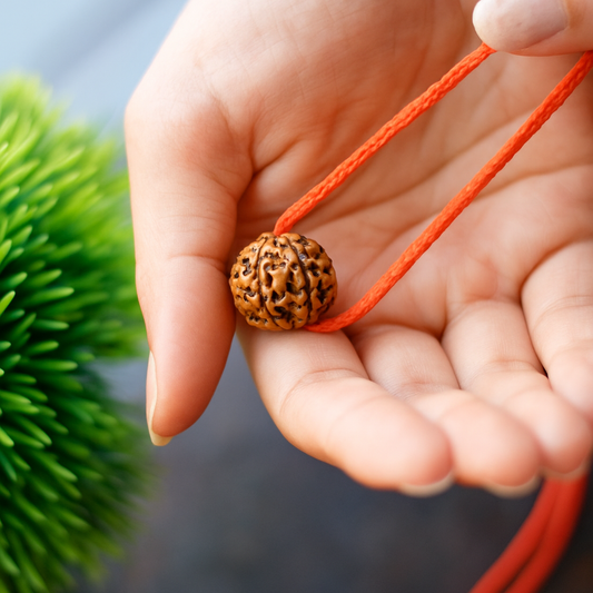 Har Ghar Mein Rudraksha - Claim Your Free 5 Mukhi Rudraksha